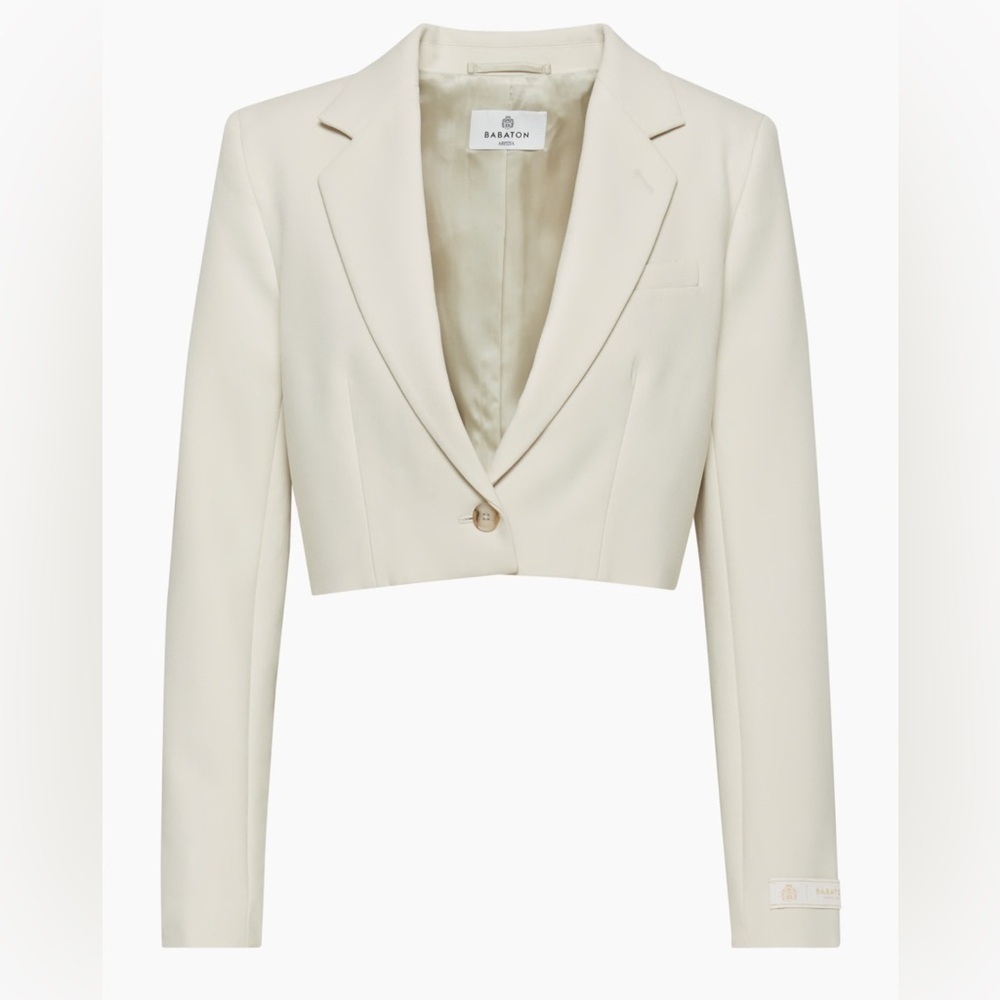 Aritzia Babaton Arbus Blazer